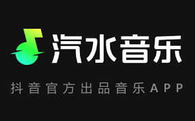 汽水音乐支持哪些音频格式？